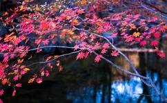 御姐很哀伤视频下载